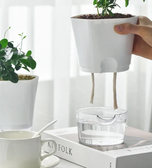 Self Watering Pot with Transparent Resorviour