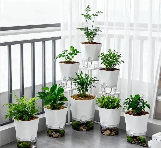 Self Watering Pot with Transparent Resorviour