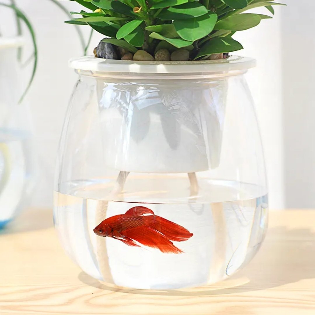 Self Watering Indoor Plant Pot