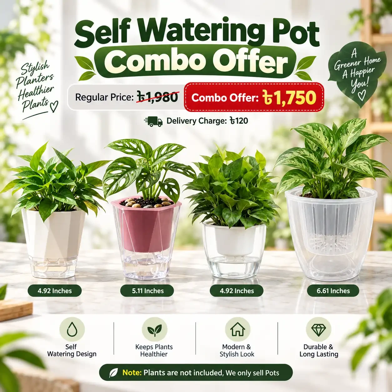 4 Self Watering Pot with Special Price