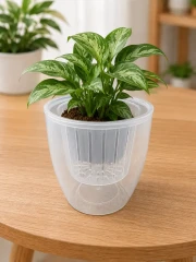 4 Self Watering Pot with Special Price thumbnail